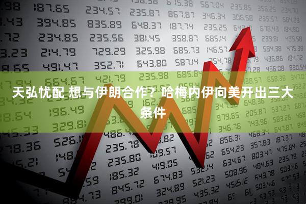 天弘忧配 想与伊朗合作？哈梅内伊向美开出三大条件