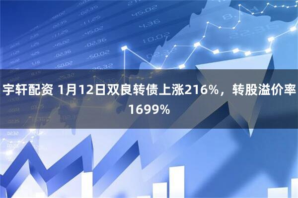 宇轩配资 1月12日双良转债上涨216%，转股溢价率1699%