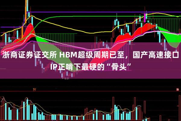 浙商证券证交所 HBM超级周期已至，国产高速接口IP正啃下最硬的“骨头”